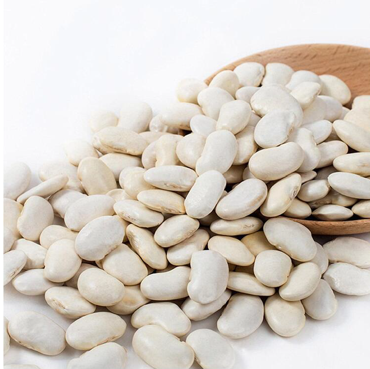 فاصولياء عريضة -   white broad bean, Jumbo lima beans