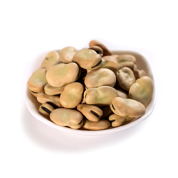 فول - باجيلا -   broad (large fava) beans