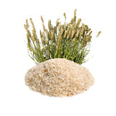 psyllium husk عشبة الإسباغول