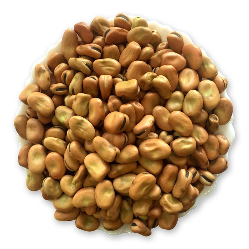 Fava beans فول مصري