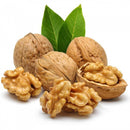 shelled walnut جوز بقشره